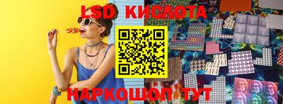 индика Партизанск