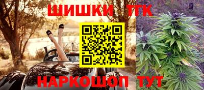 индика Партизанск