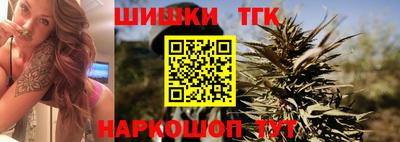 индика Партизанск