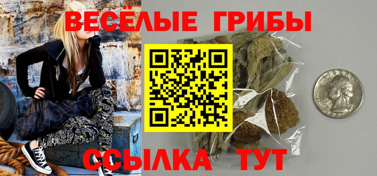 Псилоцибиновые грибы GOLDEN TEACHER Семилуки