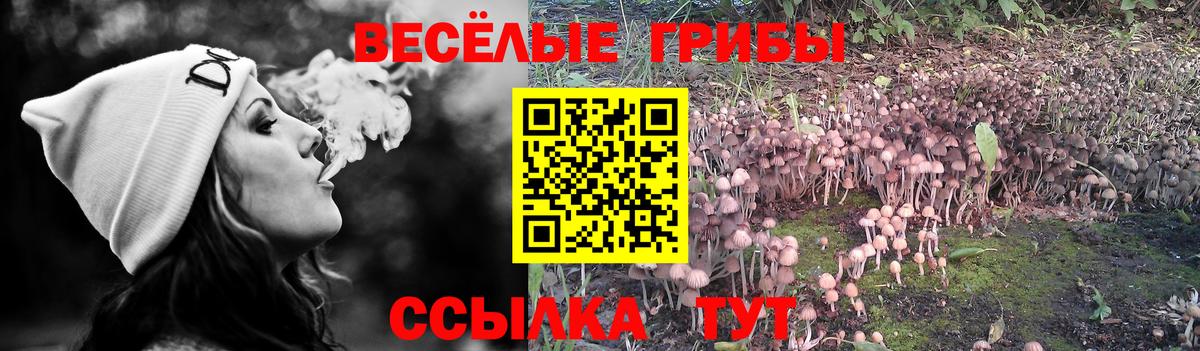 Псилоцибиновые грибы прущие грибы  Вход с VPN  Галлюциногенные грибы GOLDEN TEACHER  Семилуки 